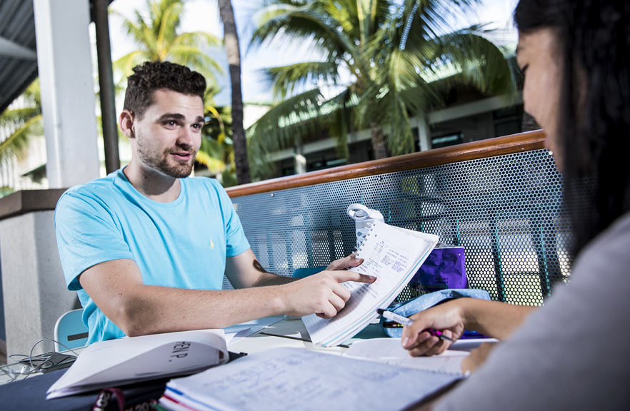 2 Students studying together on the lanai, with palm trees in the background,