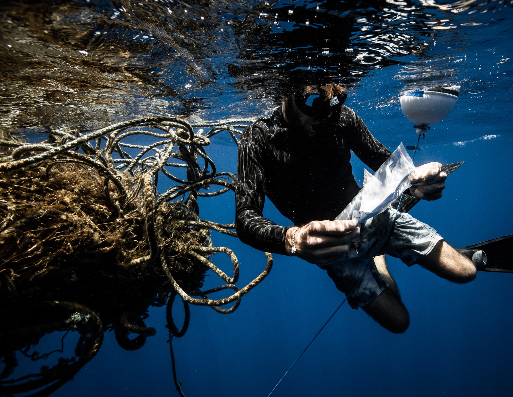 drew tagging net