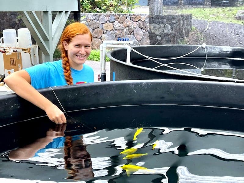 Katie Hiew working with yellow tang broodstock