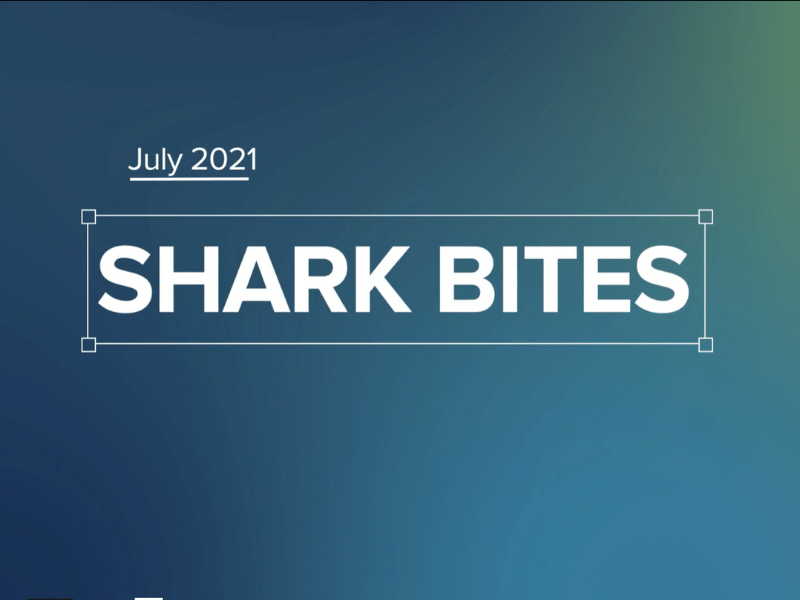 shark bites