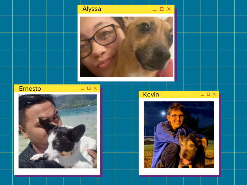 Paw Tracker Developers