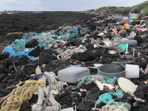 Plastics accumulate on the shoreline of Kamilo Beach