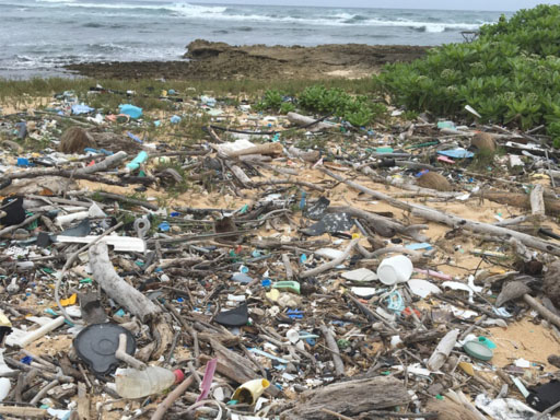 Plastics on the renowned Turtle Bay on Oahu