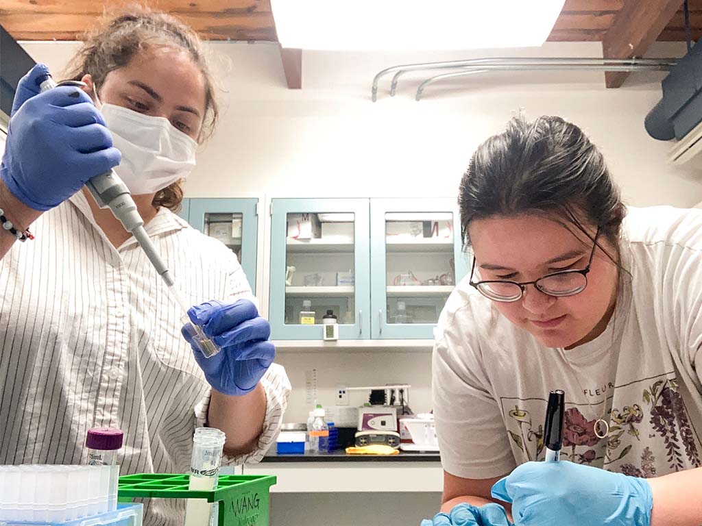 Sarah Nunez working with an HPU student culturing cells in an HPU lab.