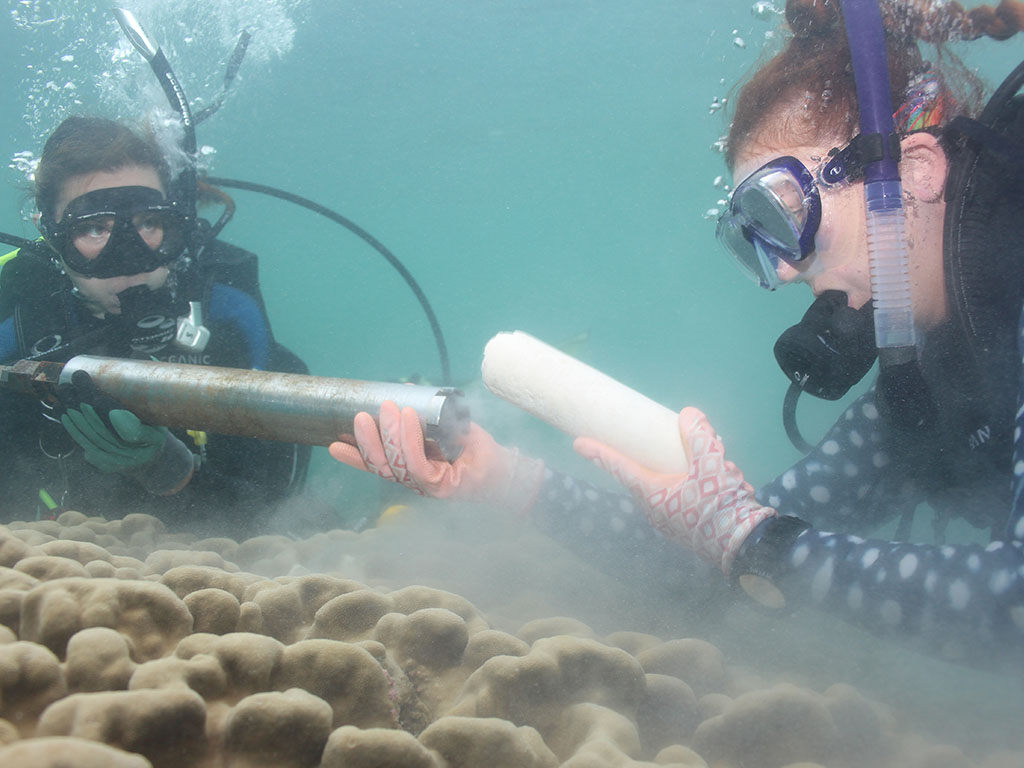 HPU graduate students Hannah Whitaker and Jessica Hankins collect coral cores.