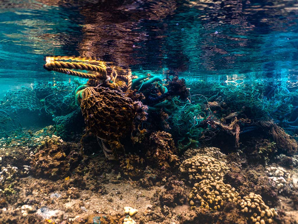 Derelict fishing gear conglomerate harming coral in Kane'ohe Bay