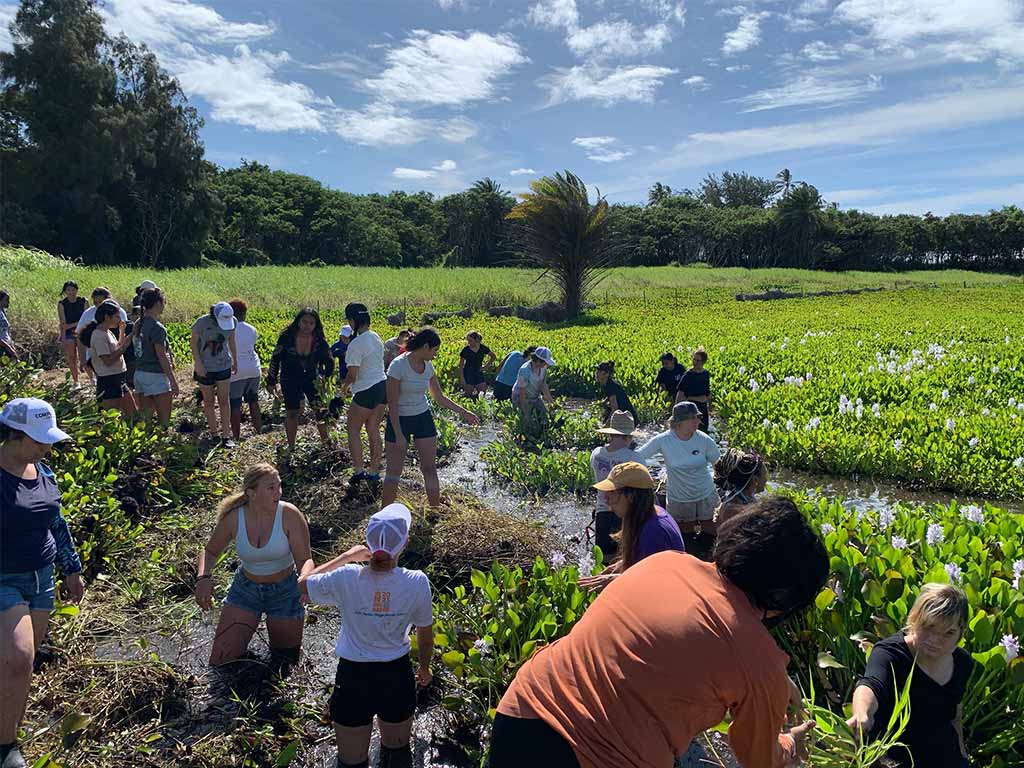 Students explored ecology by visiting Kalou fishpond