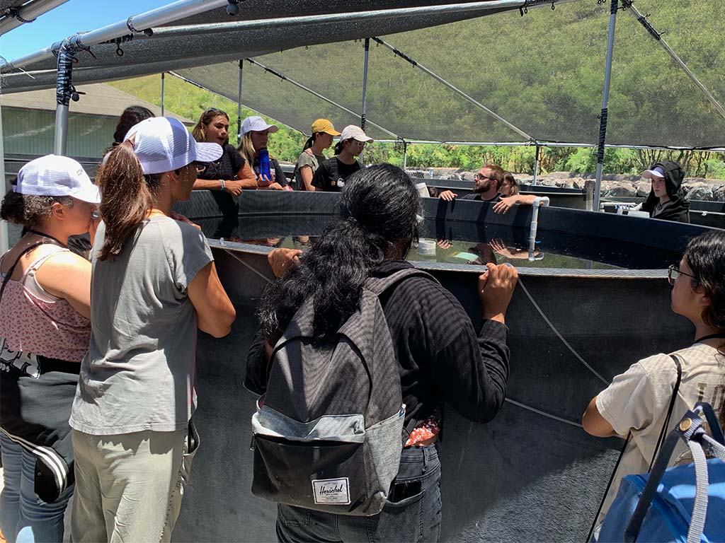 Students visited the Oceanic Institute of HPU and the Center for Marine Debris Research