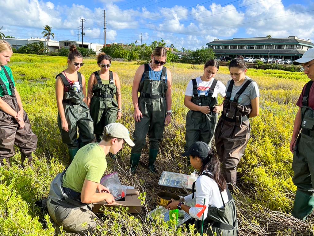 Lanya Konyu and Carmella Vizza teaching invertebrate sampling at Hamakua