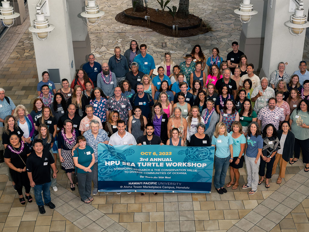 Individuals committed to sea turtle conservation and research came together at HPU for the university’s 3rd annual sea turtle workshop