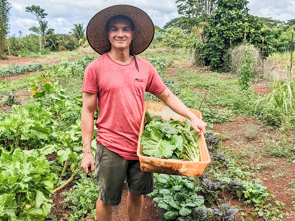 Corey Hansen at an organic farm in Waialua, Hawai'i