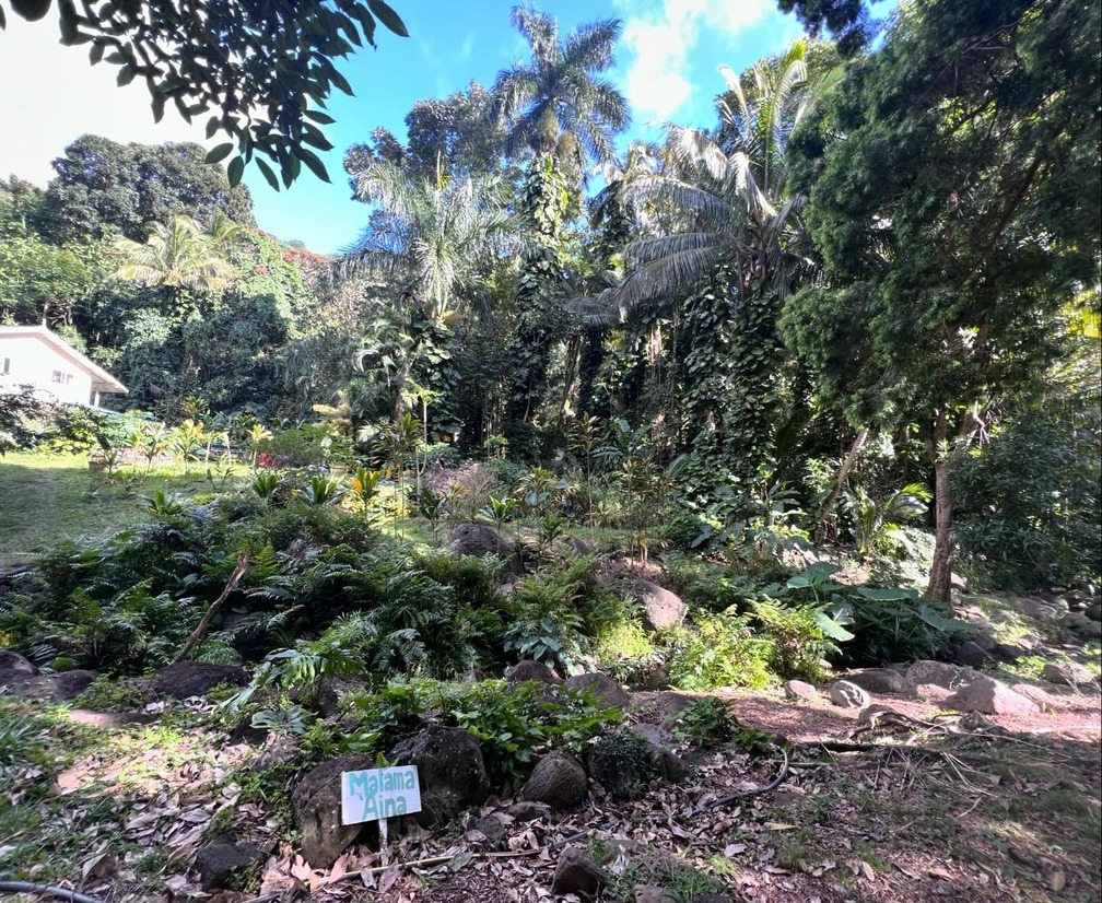 Āina Wellness Academy in Makiki Valley