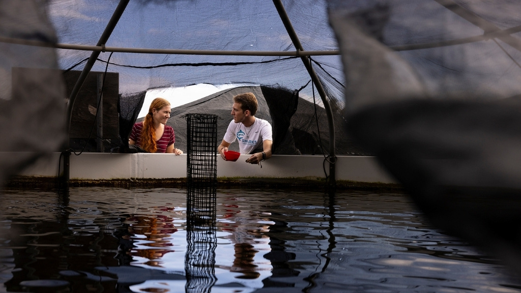 Oceanic Institute Finfish Department Research Associate Katie Hiew and Research Assistant Kent Glover