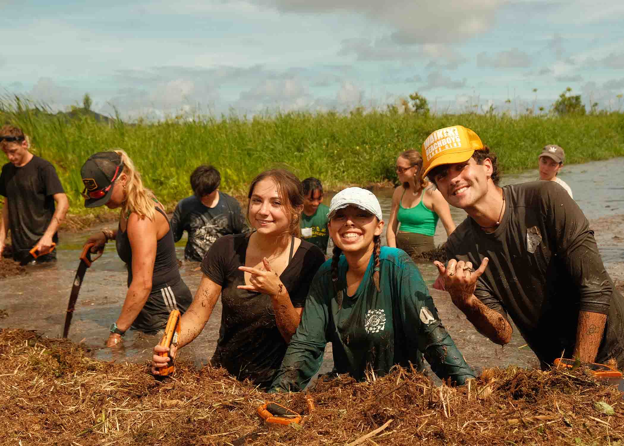 Cleaning invasive plants to make way for a new lo'i (taro patch)