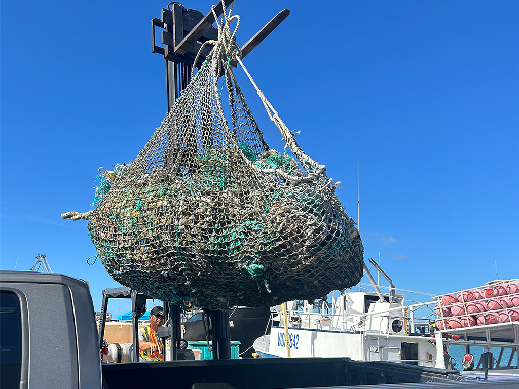 Derelict fishing gear recovered from the ocean and brought ashore by fishermen