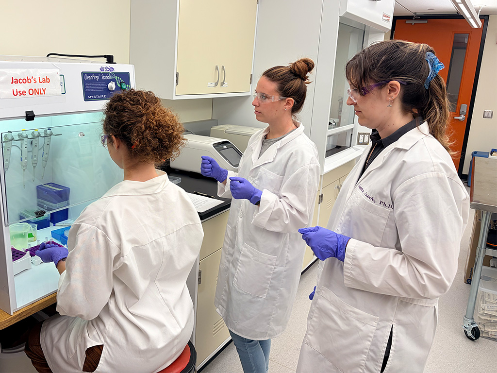 Jessica Jacob (far right) pictured in the laboratory with HPU students Kiana Walker (seated) and Maiya Johnson (center)