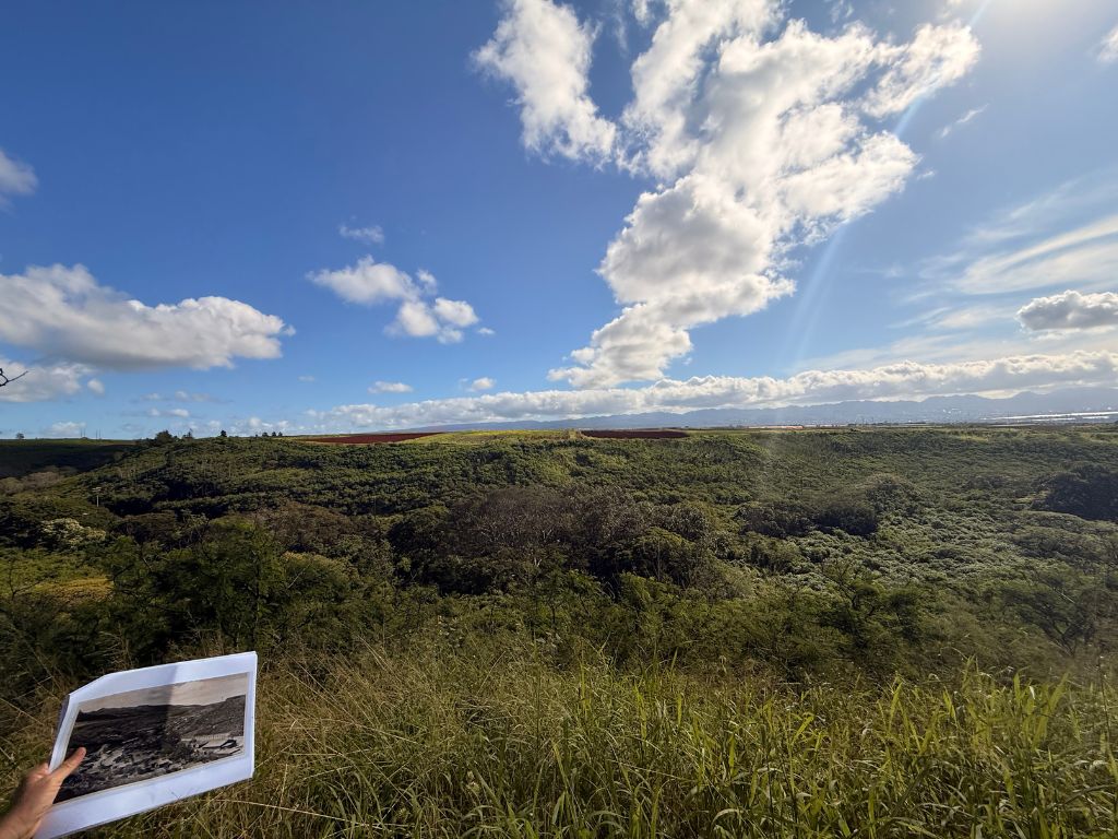 A view of the valley where the Honouliuli camp was formerly located