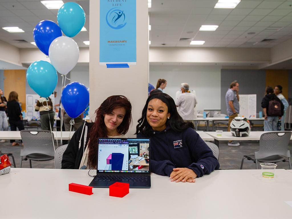 Team Student Organizer