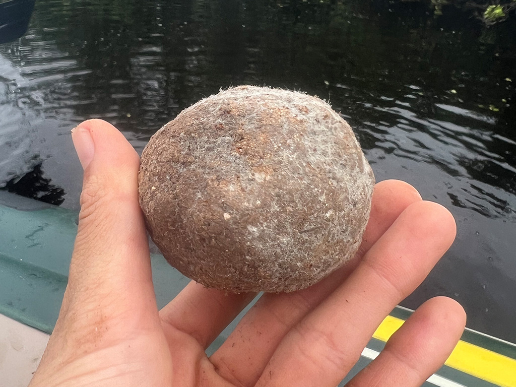 A Genki ball