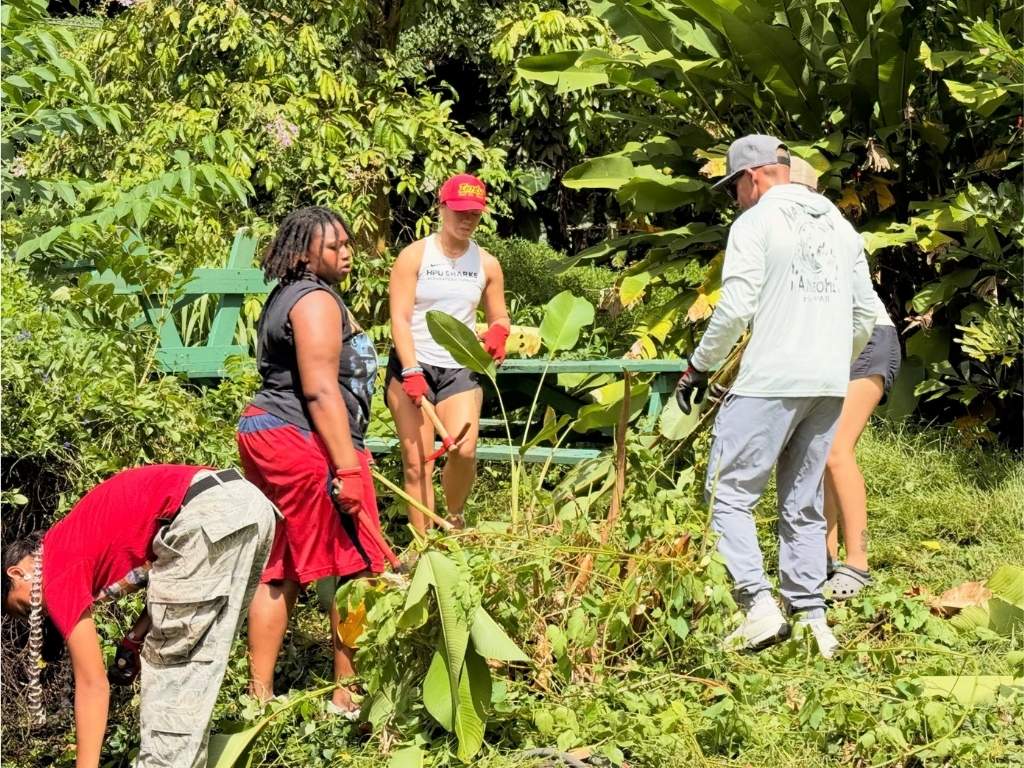 Hana, or work, at Aina Wellness Academy