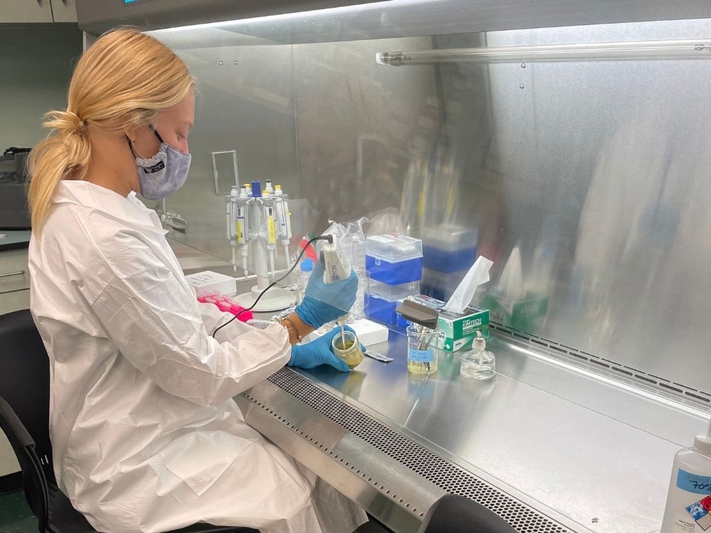 Lead author of recently published yellow tang research, Annie Deck, conducts research at Oceanic Institute