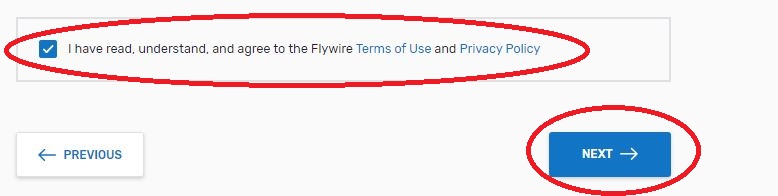 Flywire 3