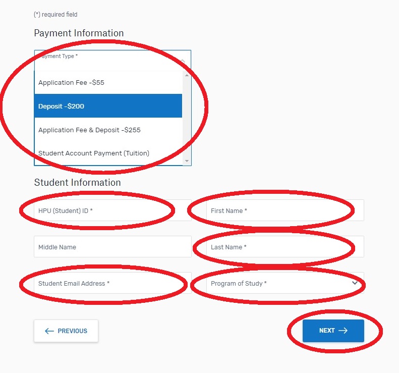 Flywire 4