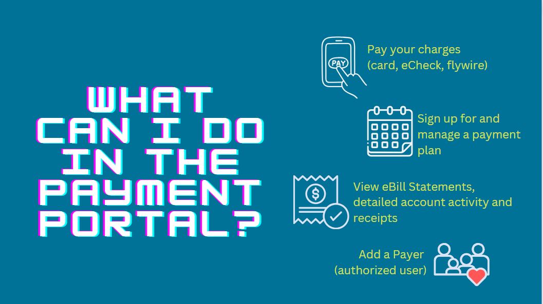 what can I do in the payment portal? 