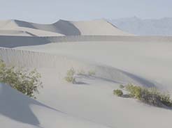 sanddune